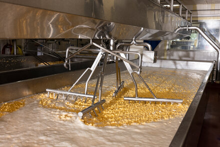 A close-up of milk being poured into a large vat in a dairy processing plant, illustrating the transformation of the dairy industry due to America's protein obsession.