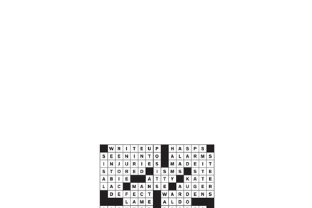 Stylized text 'Puns & Anagrams' with a playful, puzzle-like aesthetic, representing the answer key to a word game.