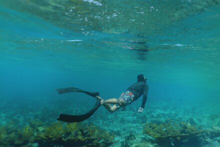Archaeologist examining ancient artifacts at an excavation site in Aruba