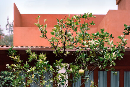 Exterior view of the new Casa Kahlo museum in Mexico City, showcasing the home where Frida Kahlo grew up with her family, featuring colonial architecture and vibrant colors under a clear sky.
