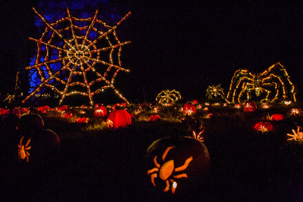 A close-up of a carved pumpkin, glowing from within, with a cityscape blurred in the background.
