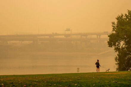 Dog wearing a protective face mask while walking outdoors, symbolizing pet protection from air pollution.
