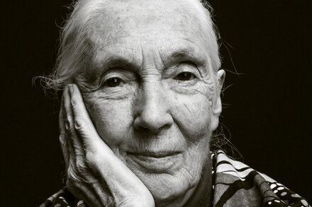 Jane Goodall in the Gombe Stream National Park, observed by a chimpanzee. She is wearing a khaki shirt and shorts, holding binoculars.