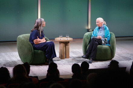 Jane Goodall in a forest, looking thoughtful, with sunlight filtering through the trees, illustrating her reflections on hope.