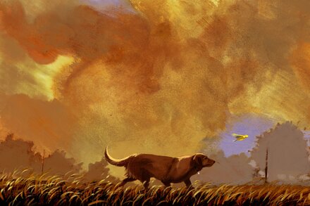Pets as Vital Health Watchdogs in a Toxic World