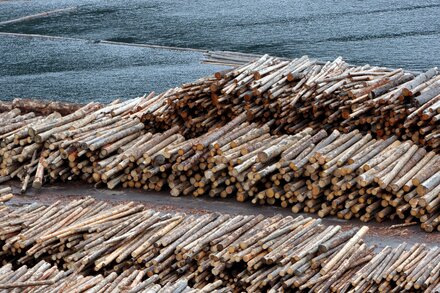 A stack of lumber planks in a timber yard, with a blurry background of a factory or warehouse. The image represents the impact of tariffs on imported goods.