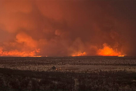 A large wildfire burning intensely through dry grasslands and trees in an African national park, with smoke rising into the sky.